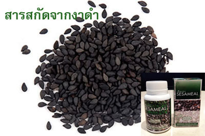 สารสกัดจากงาดำ Sesaminในเอมมูร่า AIMMURA รูปที่ 3