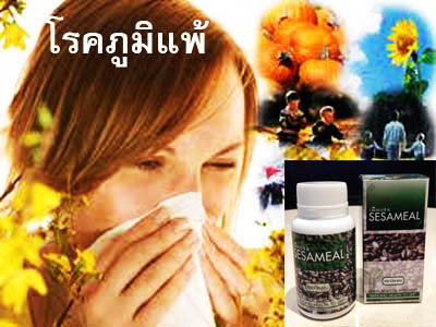 สารสกัดจากงาดำ Sesaminในเอมมูร่า AIMMURA รูปที่ 6