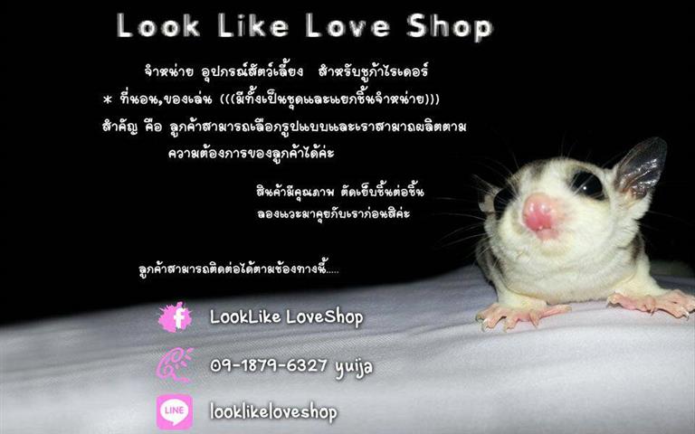 จำหน่ายที่นอนชูการ์ไกรเดอร์ กรงชูก้า ของเล่นชูก้าและอุปกรณ์ต่างๆของชูก้ามากมาย รูปที่ 7