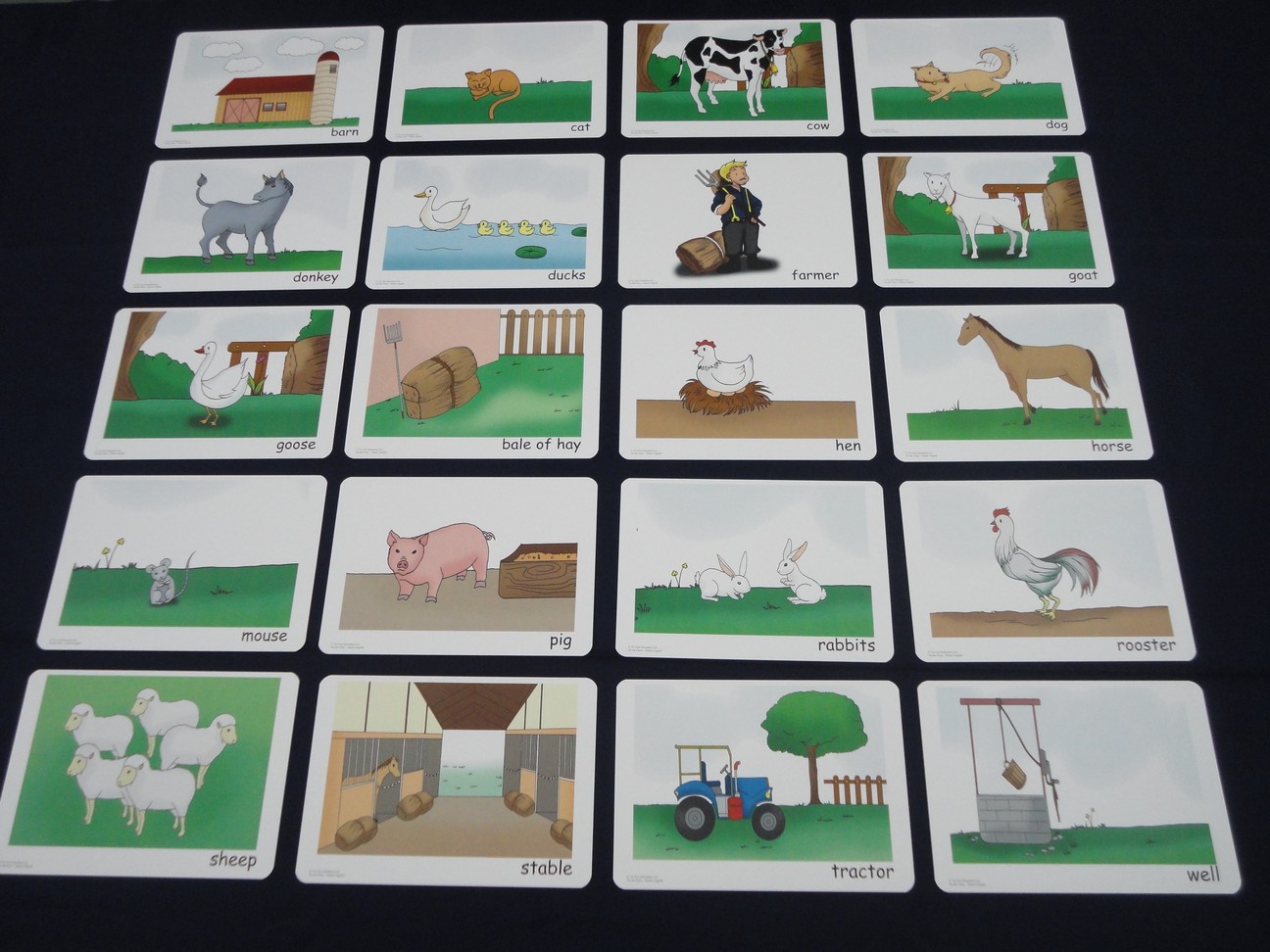 บัตรคำศัพท์ประกอบภาพ สัตว์ ในฟาร์ม On the Farm Flashcards  รูปที่ 5