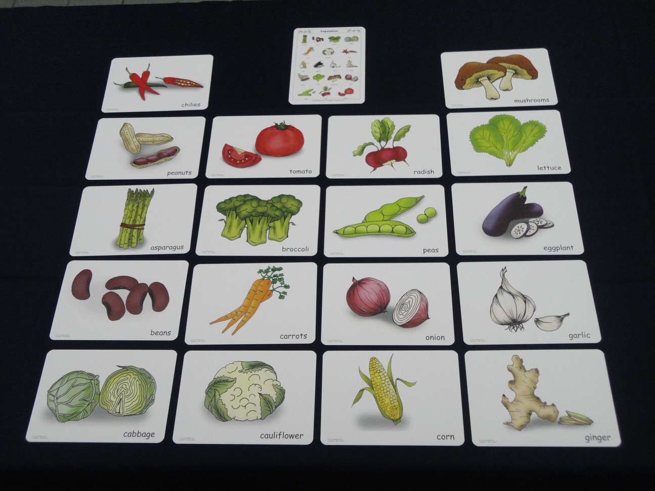 บัตรคำศัพท์ประกอบภาพ ผัก Vegetbles Flashcards  รูปที่ 5