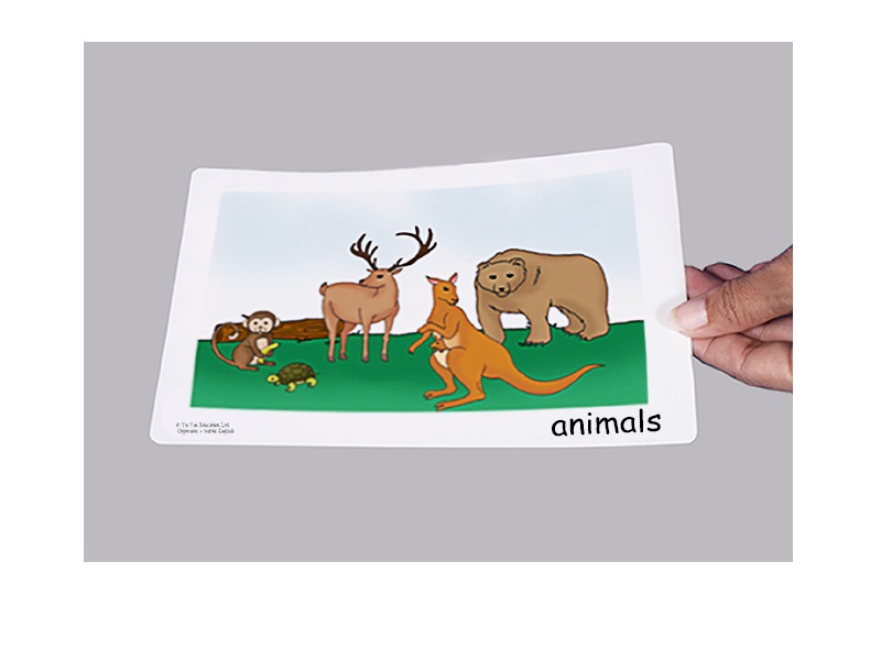 บัตรคำศัพท์ประกอบภาพ สัตว์ ในสวนสัตว์ In the Zoo  FlashCards  รูปที่ 3