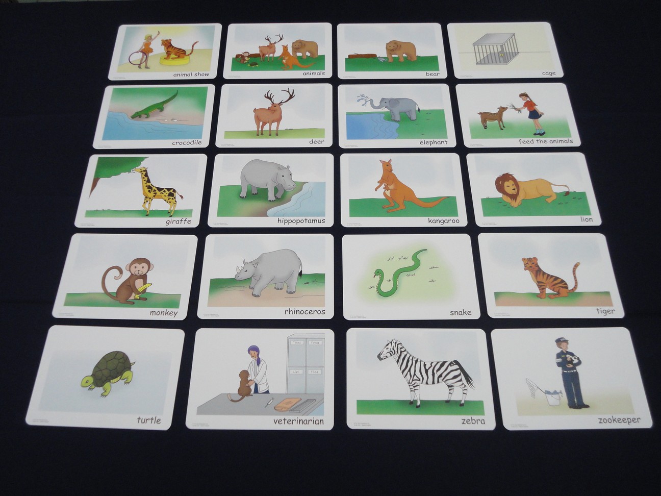 บัตรคำศัพท์ประกอบภาพ สัตว์ ในสวนสัตว์ In the Zoo  FlashCards  รูปที่ 5