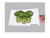 รูปย่อ บัตรคำศัพท์ประกอบภาพ ผัก Vegetbles Flashcards  รูปที่2