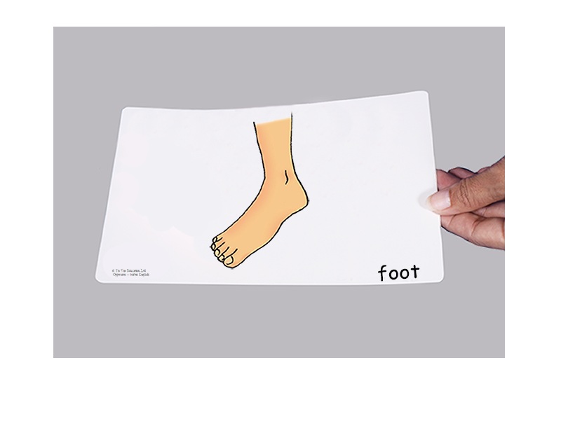 บัตรคำศัพท์ประกอบภาพ ส่วนต่างๆ ของร่างกาย Bodyparts Flashcards รูปที่ 3