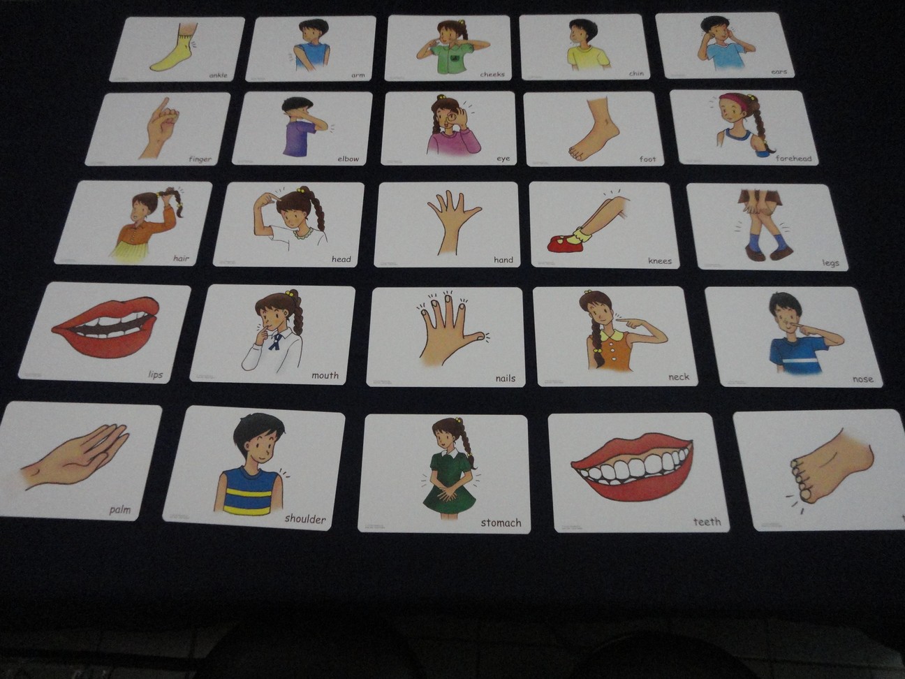 บัตรคำศัพท์ประกอบภาพ ส่วนต่างๆ ของร่างกาย Bodyparts Flashcards รูปที่ 5