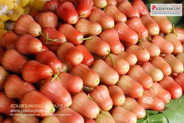 กิน เที่ยว นครปฐม เดินตลาดสุขใจ สวนสามพราน เสาร์อาทิตย์   รูปที่ 4