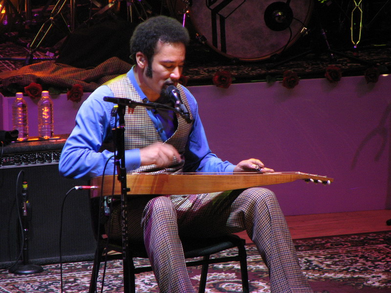 lap steel guitar รูปที่ 5