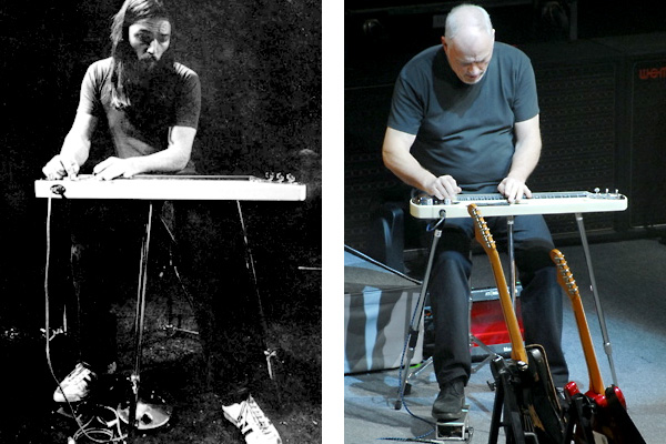lap steel guitar รูปที่ 6