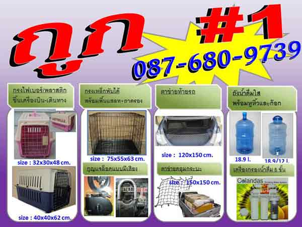 กรงขึ้นเครื่องบิน กล่อง กรง กรงสุนัข กรงหมา กรงแมว กรงกระต่าย กรงเหล็ก กรงเหล็กพับได้ กรงเดินทาง กล่องขึ้นเครื่องบิน กรง รูปที่ 2