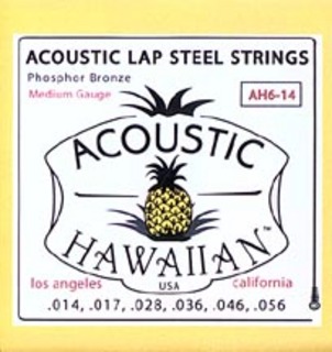 lap steel guitar รูปที่ 4