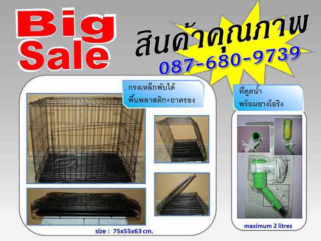 กรงขึ้นเครื่องบิน กล่อง กรง กรงสุนัข กรงหมา กรงแมว กรงกระต่าย กรงเหล็ก กรงเหล็กพับได้ กรงเดินทาง กล่องขึ้นเครื่องบิน กรง รูปที่ 3