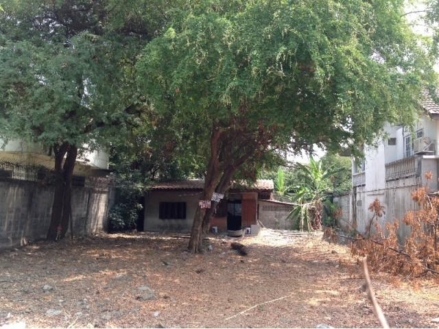 ขายถูก ที่ดินเปล่าถมแล้ว 134 ตรว. ซอยรัชดา 20 (ซ.รุ่งเรือง) ขนาด 14x 38 อยู่ด้านหลังบุญถาวรรัชดา ทำเลดีมาก ใกล้สถานีรถไฟฟ้า MRT สุทธิสาร รูปที่ 3
