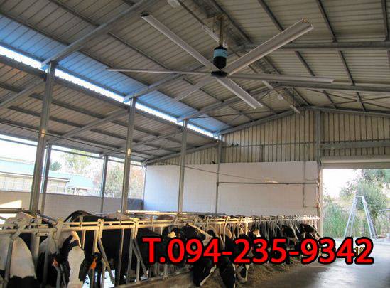 ลดสุดๆ พัดลมอุตสาหกรรม ขนาดยักษ์ HVLS fan ราคาถูก รูปที่ 1