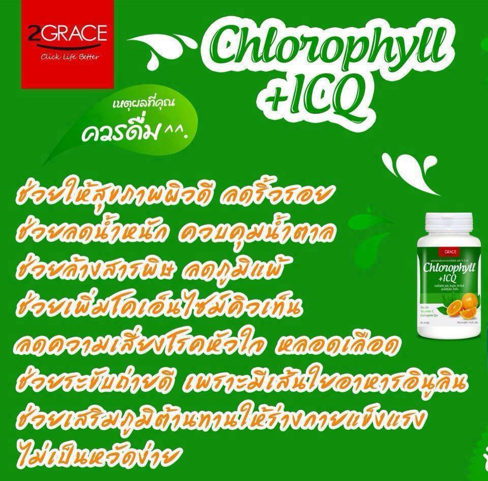 แฟรนไชส์น้ำเพื่อสุขภาพ คลอโรฟิลล์ ICQ รูปที่ 3