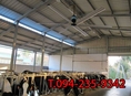 จำหน่าย พัดลมอุตสาหกรรม ขนาดใหญ่ HVLS fan ราคามิตรภาพ