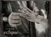 รูปย่อ แหวน แต่งงานของเบลล่า ทไวไลท์ twilight bella ring ส่งฟรี รูปที่3