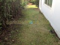 รับออกแบบสปริงเกอร์ SprinklerHome.com สปริงเกอร์อัตโนมัติ 13,900บาท รูปที่ 4