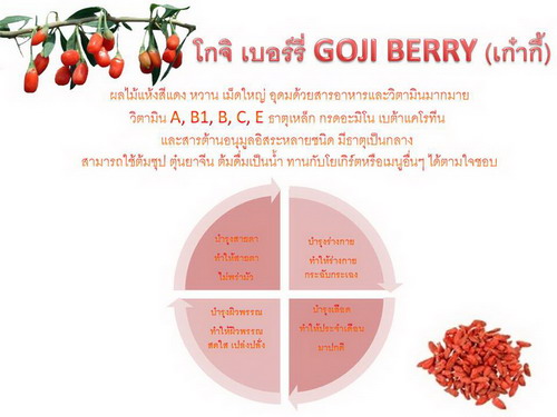 ร้าน 