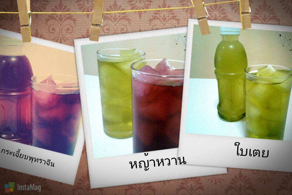 ขายส่งน้ำหญ้าหวานบ้านคุณเอ รูปที่ 7