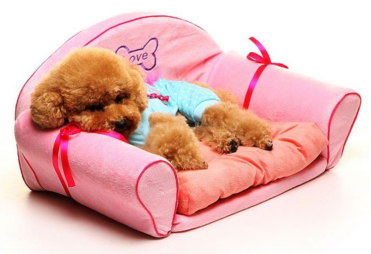 Kowneawpaipetshopจำหน่ายที่นอนหมาและที่นอนแมวรวมทั้งอุปกรณ์สุนัขนำเข้า รูปที่ 3