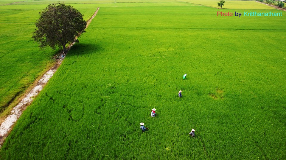รับถ่ายภาพทางอากาศ ภาพมุมสูง ด้วยDrone Multirotor  ราคาพิเศษ รูปที่ 3
