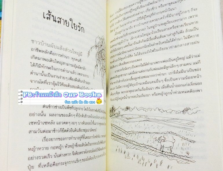 รางวัลแว่นแก้ว วรรณกรรมเยาวชนรางวัลพระราชทาน รูปที่ 5