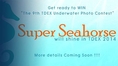 จัดชิงรางวัลประกวดภาพถ่ายใต้น้ำ “Super Seahorse