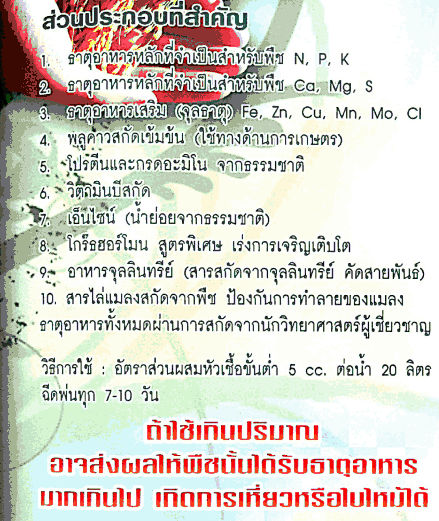 cordata Supergreen สารเพิ่มประสิทธิภาพการเจริญ ของพืช เกษตรอินทรีย์  รูปที่ 7