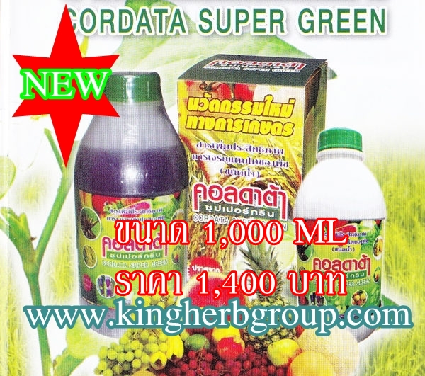 cordata Supergreen สารเพิ่มประสิทธิภาพการเจริญ ของพืช เกษตรอินทรีย์  รูปที่ 3