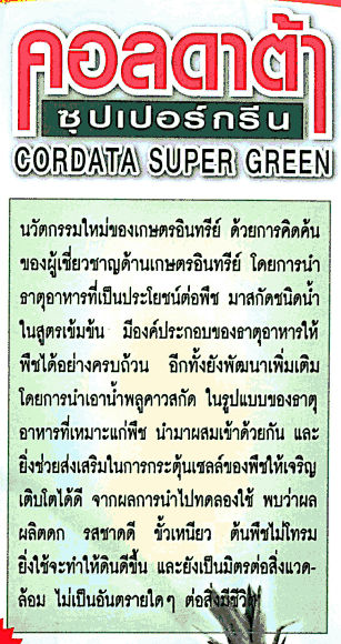cordata Supergreen สารเพิ่มประสิทธิภาพการเจริญ ของพืช เกษตรอินทรีย์  รูปที่ 4