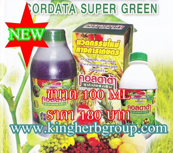 cordata Supergreen สารเพิ่มประสิทธิภาพการเจริญ ของพืช เกษตรอินทรีย์  รูปที่ 2