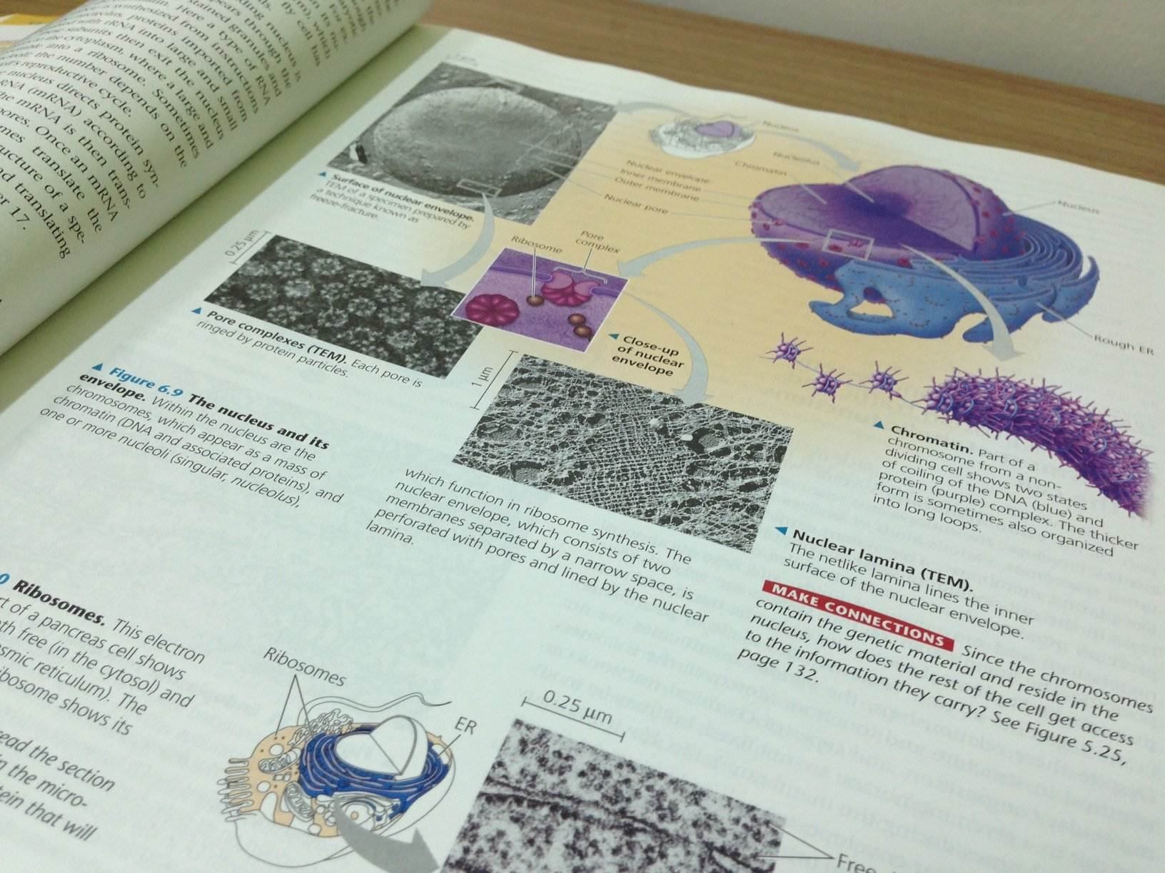 Campbell Biology 9th edition สภาพใหม่แกะจากห่อ 99% จาก 1530 เหลือเพียง 1000 บาทเท่านั้น รูปที่ 5