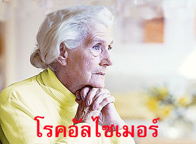 ลูกหม่อนอบแห้ง ผลิตจากลูกหม่อนแท้ 100% รูปที่ 7