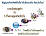 รูปย่อ ขายแฟรนไชส์ เติมเงินบนมือถือ 9Topup Smart Topup System รูปที่4