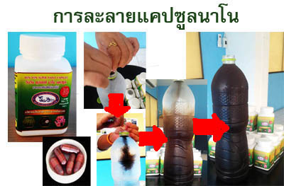 ปุ๋ยทางใบ วินวิน ซุปเปอร์ นาโน แคปซูล รูปที่ 3
