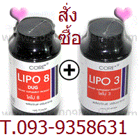 Lipo8,Lipo3 รูปที่ 1