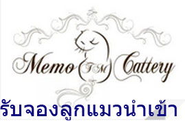 รับจองลูกแมว รูปที่ 2