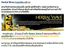 รูปย่อ Herbal wave ดีท็อกซ์ขับล้างสารพิษร่างกาย  รูปที่3