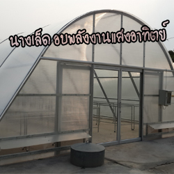 บ้านนางเล็ด จำหน่ายแผ่นแห้งนางเล็ด แผ่นแห้งข้าวตัง หอม กรอบ อร่อยค่ะ รูปที่ 3