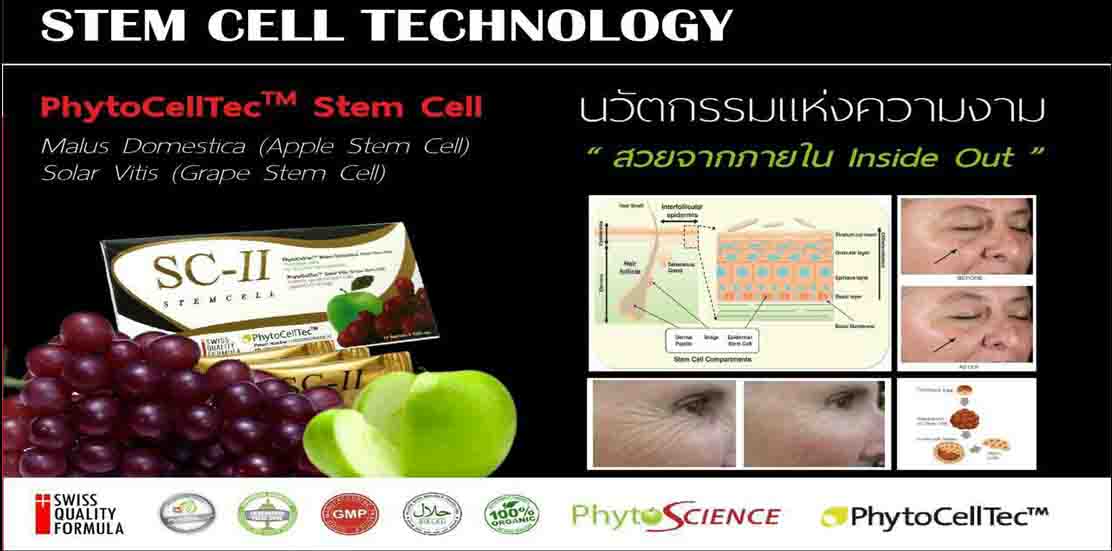 ไฟโต เอสซี ทู สเต็มเซลล์ Phyto SC II Stem Cell รูปที่ 1