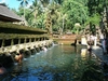 รูปย่อ สวอนทราเวล นำเที่ยวรอบโลก www.TakeThaiTour.com  ทัวร์บาหลี 4 วัน 3 คืน สุดคุ้มเพียงท่านละ 7900 บาท รูปที่4
