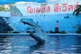 OASIS SEA WORLD  โอเอซิสซีเวิลด์ (จันทบุรี)