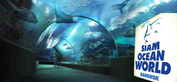 SIAM OCEAN WORLD  สยามโอเชี่ยนเวิลด์  รูปที่ 1