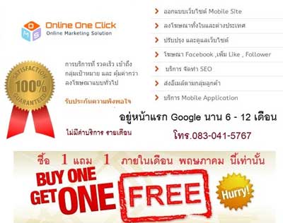 เครื่องมือการตลาดออนไลน์ รับทำ SEO โฆษณาเว็บไซต์  ออกแบบเว็บไซต์ โปรโมชั่น ซื้อ 1 แถม  1  รูปที่ 1