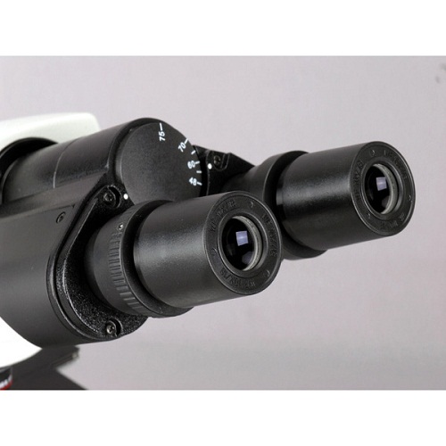ตัวแทนจำหน่ายกล้องจุลทรรศน์ Microscope รับประกัน 1 ปี ยอดขายอันดับ 1 รูปที่ 5