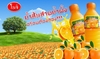 รูปย่อ น้ำส้มสายน้ำผึ้งตราโมจิ รับสมัครตัวแทนจำหน่ายทั่วประเทศ รูปที่5