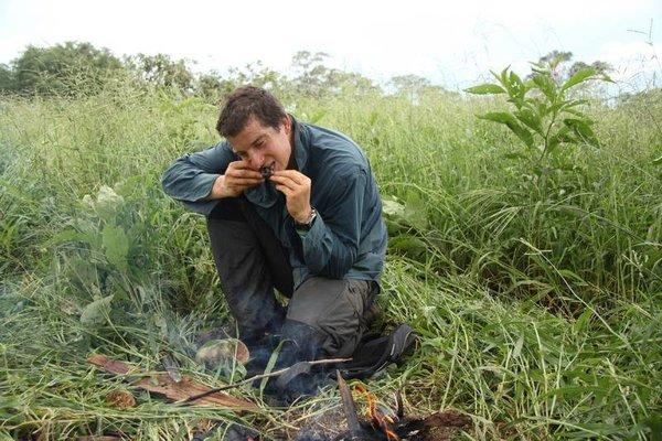 MAN Vs WILD ผจญภัยสุดขั้ว กินหนอน กินงู เพื่อเอาตัวรอด รูปที่ 6