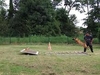 รูปย่อ ขายลูกสุนัขใช้งาน เบลเยี่ยน มาลีนอยส์(Belgian Malinois)สายเลือดสุนัขอารักขาแชมป์เปี้ยน 4 สมัย และอีก 2 สมัย(แม่หมานำเข้า) รูปที่6
