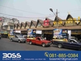 รถแห่เชียงใหม่  (081-8850384 คุณเก่ง)